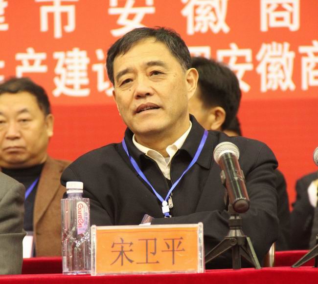 安徽省人大副主任宋卫平